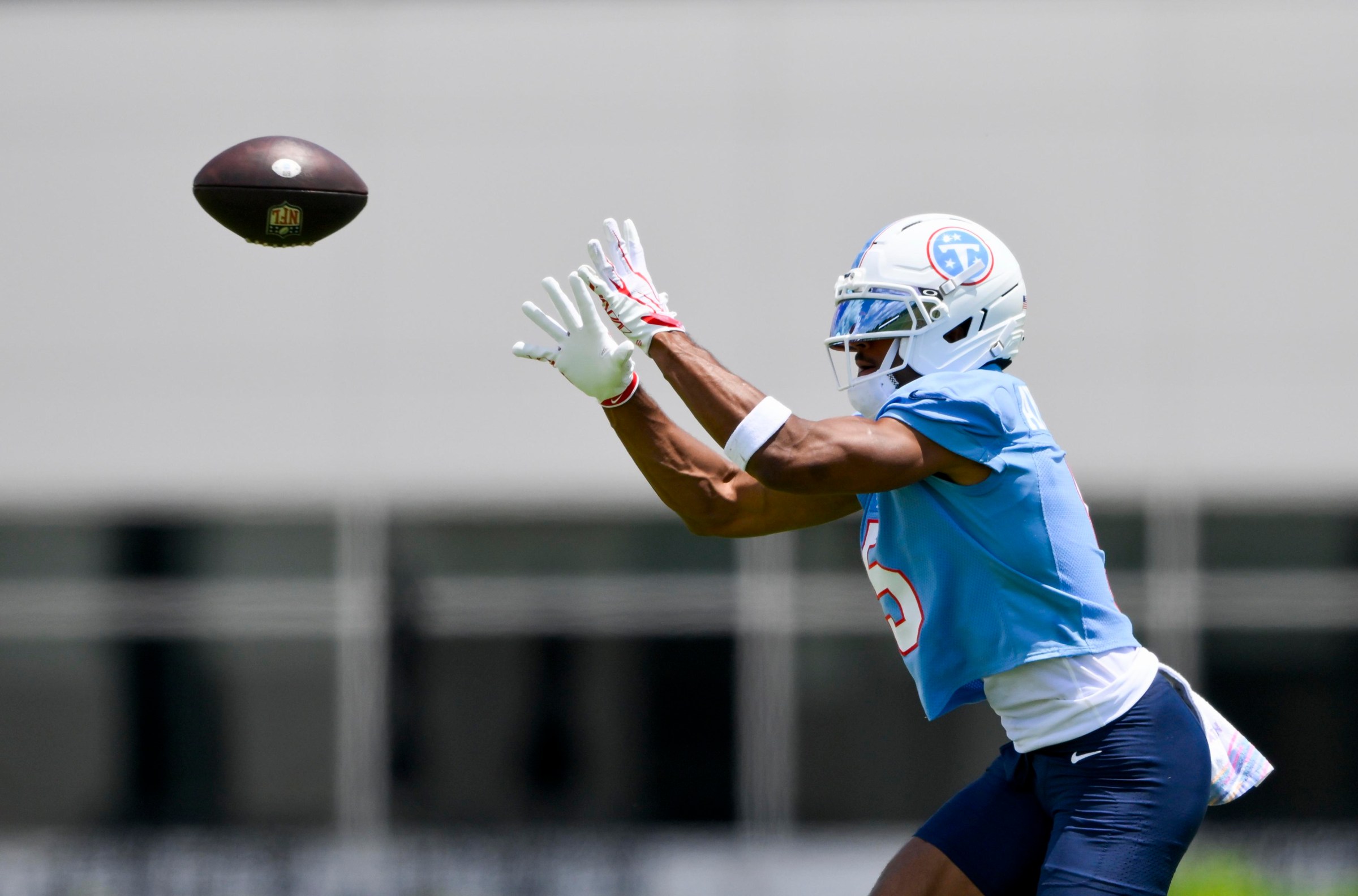 What role will Titans WR Elic Ayomanor play in 2026?